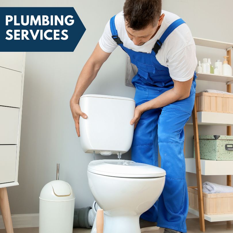 Plumbing Company in Thief River Falls, MN